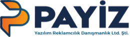 Payiz Solutions logo